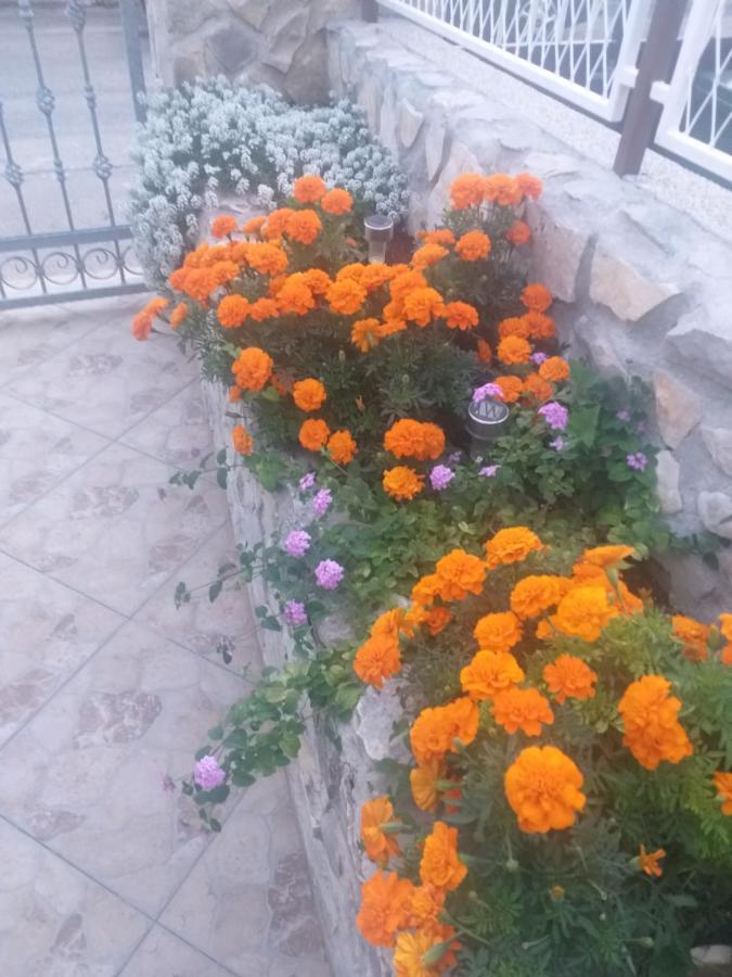 La Vita Apartment Sibenik Ngoại thất bức ảnh